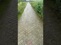 Download Lagu jab se tujhe Maine dekha Sanam Teri aankhon mein tu meri saanson mein tu jab se tujhe Maine dekha Sa