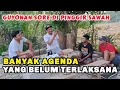 Download Lagu BANYAK JADWAL YANG BELUM TERLASANA || GUYONAN SORE HARI DI PINGGIR SAWAH...