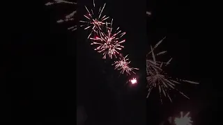 Killer Spider Firework 49 shots