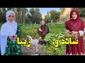 Download Lagu چی یک روز قشنگ بود. 