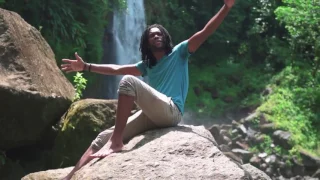 Welcome to My Island by Breve