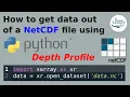 How to get data out of a NetCDF file using Python depth profile