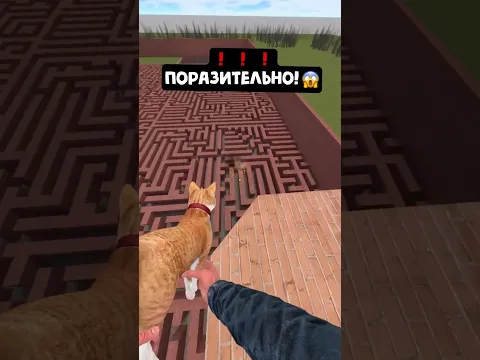 Заметил странного цветного типа!
