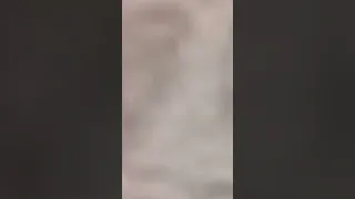 الجزء الاول رحنا ان اشتري قطه رومي وهنا كانت الصدمه 