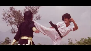 incredible kung fu mission 1980 