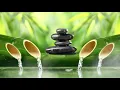 Download Lagu Relaxing music with the sound of nature Bamboo Water Fountain 2021 #2