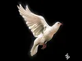 Dave - Peace Dream