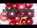 Plum wine home made