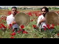 Lagu Grup Taif - Nur Kundak İçinde Yatar Muhammed |Orjinal Klip İlahi