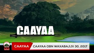 Caayaa OBN Waxabajjii 30 2017 