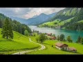 Download Lagu Best Music Therapy • Healing Melodies to Relaxes the Brain \u0026 Relieves Mental Pressure 🍀