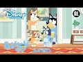 Download Lagu Bingo Heeft een Probleem! | Bluey | Disney Channel NL