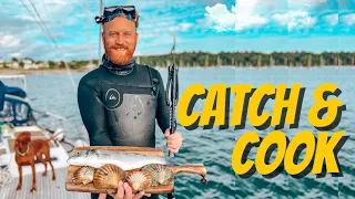 Scallop diving – CATCH & COOK on south coast of England (Sailing Cadoha) S3 Ep19
