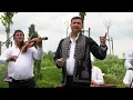 Download Lagu Ionut de la Naipu - Romanu cand isi petrece