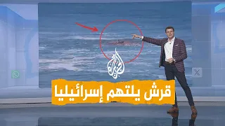 شبكات بالفيديو قرش يلتهم إسرائيليا على شاطئ البحر المتوسط وفشل محاولات إنقاذه 