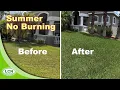 How To Get A Green Lawn In Summer Without Burning It No Burned Lawn