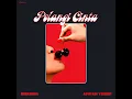 Pelangi Cinta (feat. Afifah Yusuf) - Diskoria