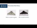 Genetic Algorithm A First Introduction