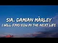 Download Lagu Sia ft Post Malone ft Damian Marley - I Will Find You in the Next Life (Lyrics)