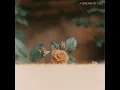 A Dream of You - Far Caspian