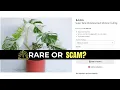 RARE PLANT SCAMS Are Running Rampant on Etsy