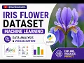Iris Flower Classification Using Machine Learning Data Analysis Visualization in Python