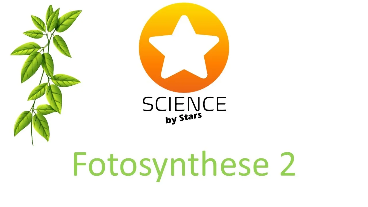 Fotosynthese verdieping