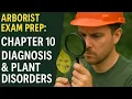 Arborist Exam Prep Chapter 10 - Diagnosis Plant Disorders