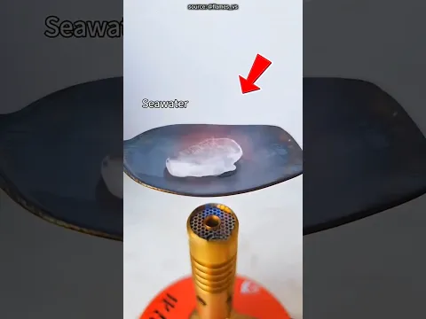 Air Laut vs Madu Dipanasin! Mana yang Paling Parah?! 🧪🔥