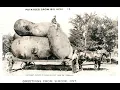 50 Old Pictures of Simcoe Ontario Canada Episode 125