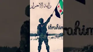 حالات ثورية لا تراجع لا استسلام 