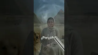 وغاب الوعي عن عقلي       ياسين التهامي  صلوا علي سيدنا محمدﷺ دندنها