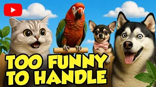 Hilarious Talking Animals You NEED to See Right Now