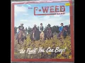 Download Lagu The C-Weed Band - Cindy's Song