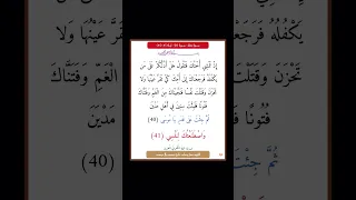 سورة طه سورة 20 اية 41 40 
