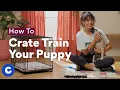 How To Crate Train a Puppy Chewtorials