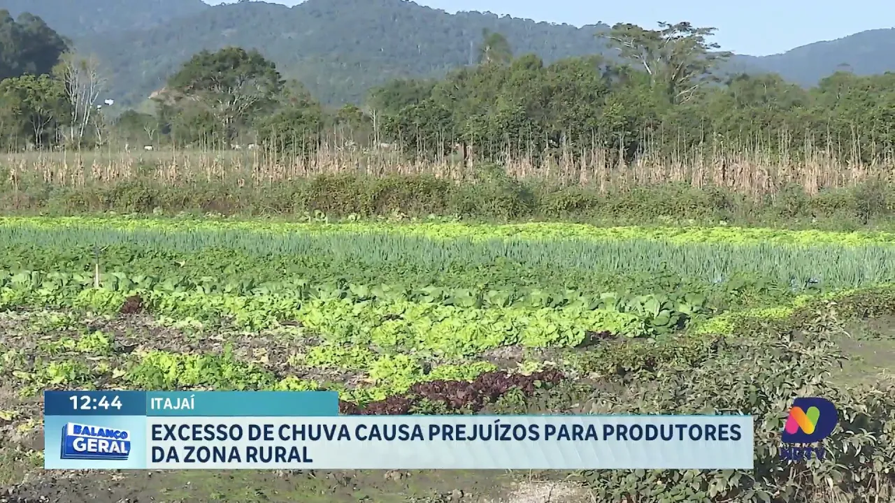 Excesso de chuva afeta plantações em Itajaí e prejudica agricultores