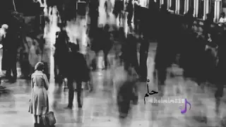 يلا يا قلبي تعبنا تعبنا من الوقوف 