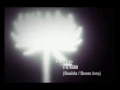 Download Lagu Bleach Opening 3 Ichirin No Hana Lyrics