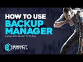 How to Use the BisectHosting Backup Manager