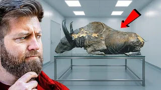 5 More Prehistoric Animals Found Frozen in Ice