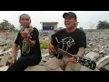 Download Lagu \