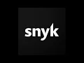 Snyk Platform
