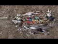 Great Pacific Garbage Patch Awareness