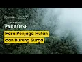 Defending Paradise: Para Penjaga Hutan dan Burung Surga | #DefendingParadise