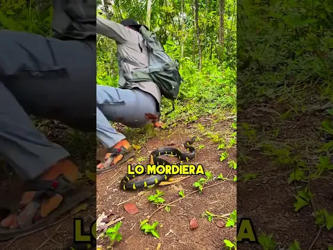 Este Aventurero Ama El Dolor