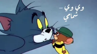 ارشيف اغاني كارديه هجوله   وي وي   شمامي   مسرع مميز      دندنها