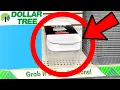 10 Things You SHOULD Be Buying at Dollar Tree in June 2026