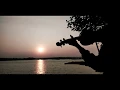 Download Lagu You Are My Sunshine (cover biola) violin cover