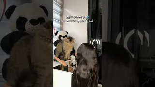 كتييييير كيوت بس                اكسبلور         دندنها